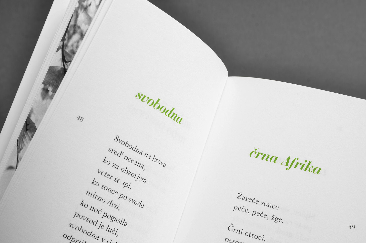 Alberta Ostan: Na brežini bela breza