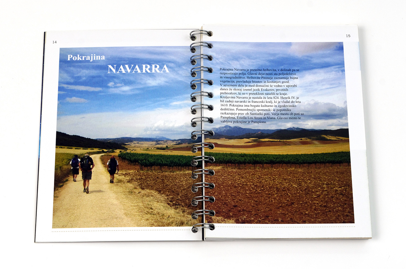Romarski vodnik Camino – Pot